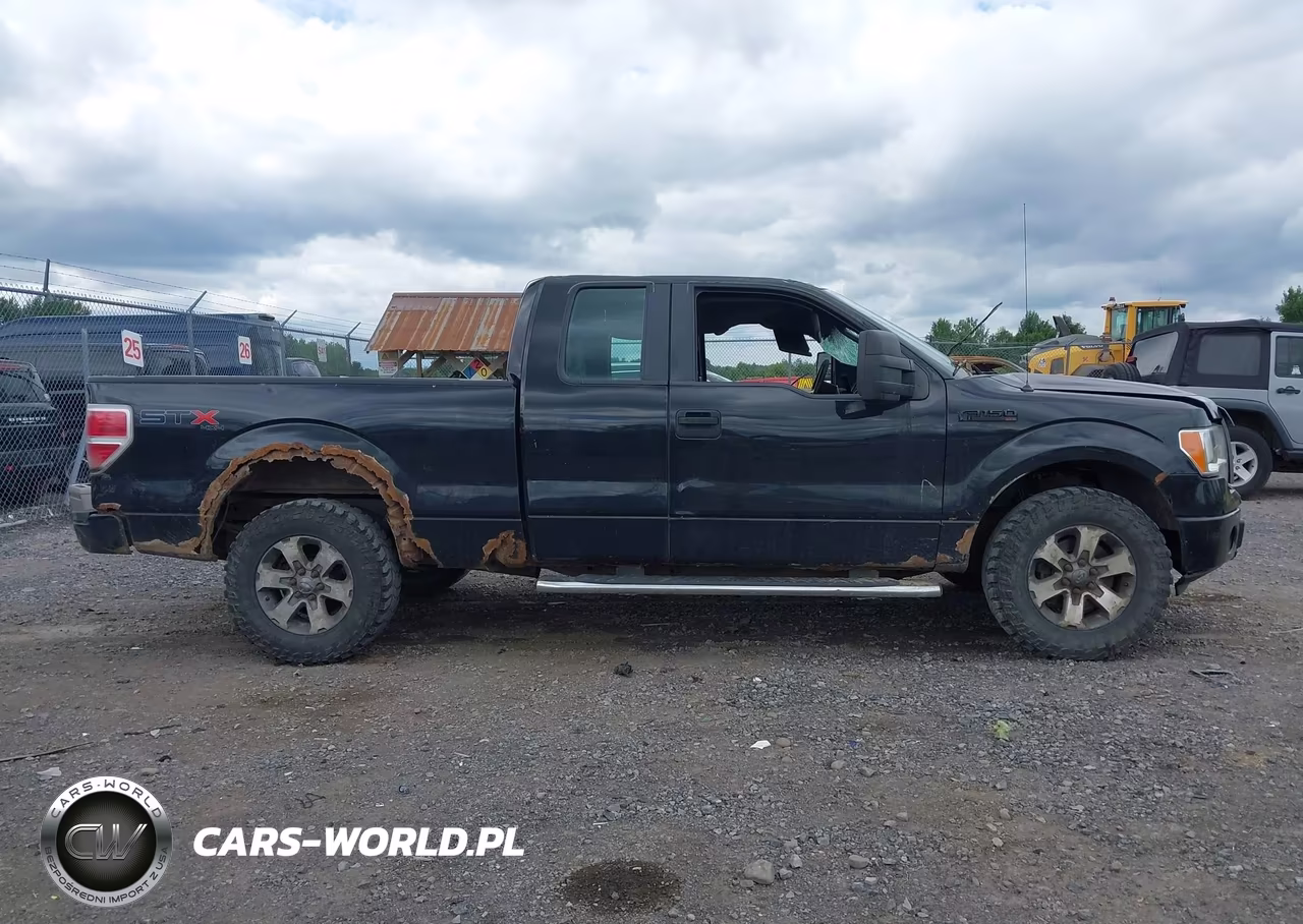 2013 Ford F-150 Stx VIN:1FTFX1EFXDFD46665 - 13
