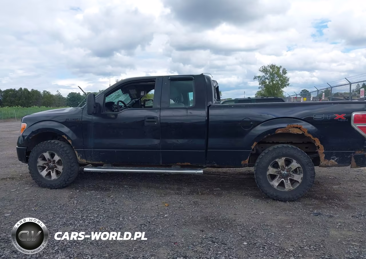 2013 Ford F-150 Stx VIN:1FTFX1EFXDFD46665 - 14