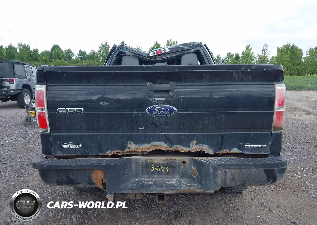 2013 Ford F-150 Stx VIN:1FTFX1EFXDFD46665 - 16