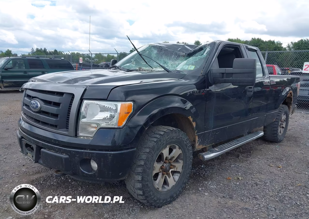 2013 Ford F-150 Stx VIN:1FTFX1EFXDFD46665 - 2