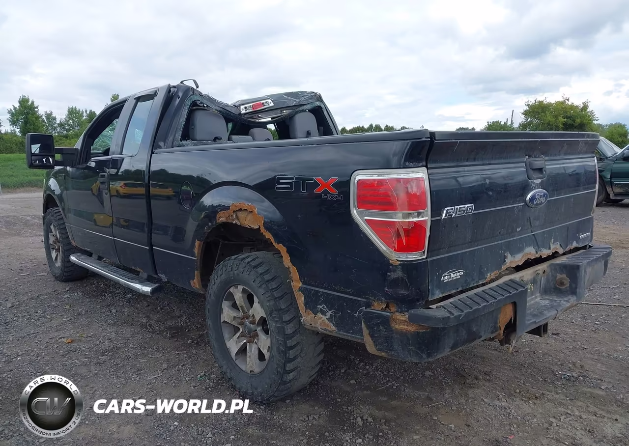 2013 Ford F-150 Stx VIN:1FTFX1EFXDFD46665 - 3