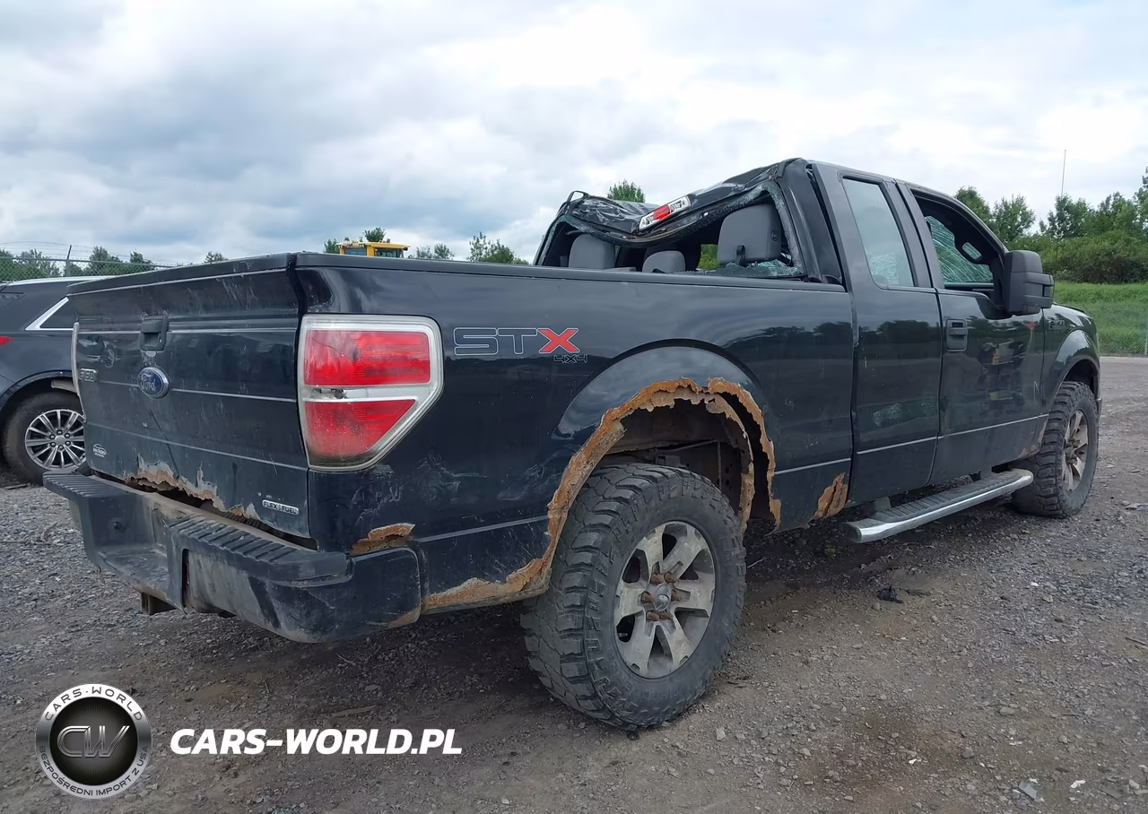 2013 Ford F-150 Stx VIN:1FTFX1EFXDFD46665 - 4