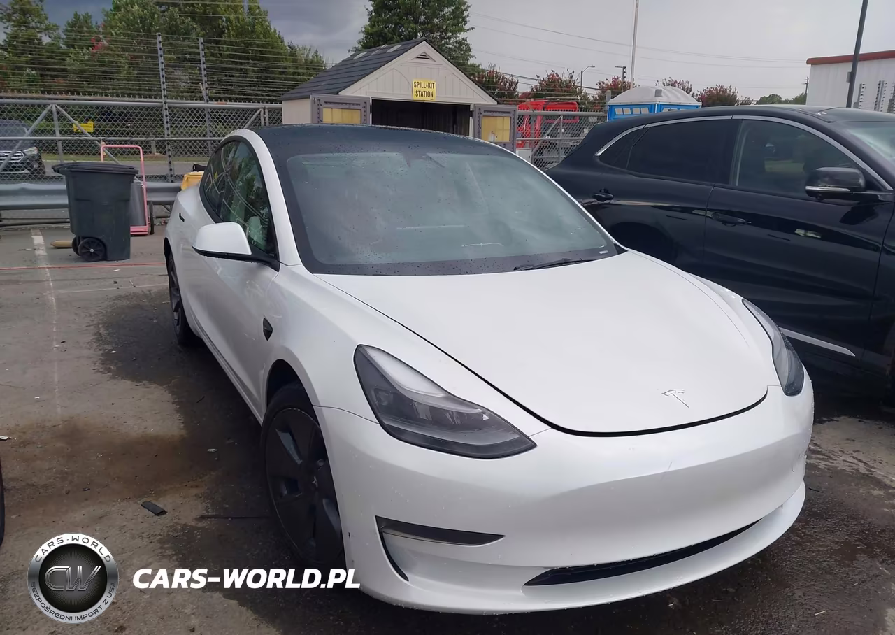 2023 Tesla Model 3 Rear-Wheel Drive