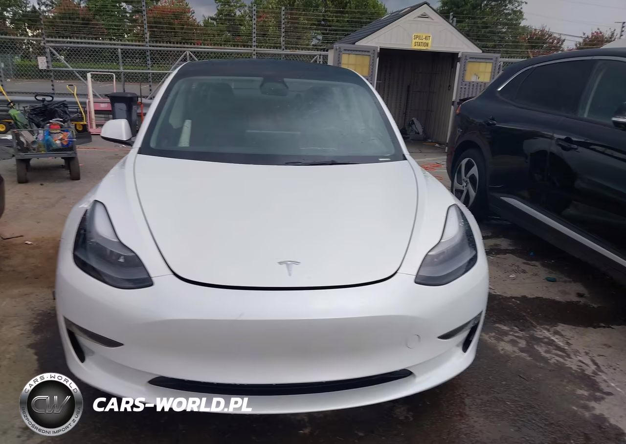 2023 Tesla Model 3 Rear-Wheel Drive VIN:5YJ3E1EA9PF382479 - 13