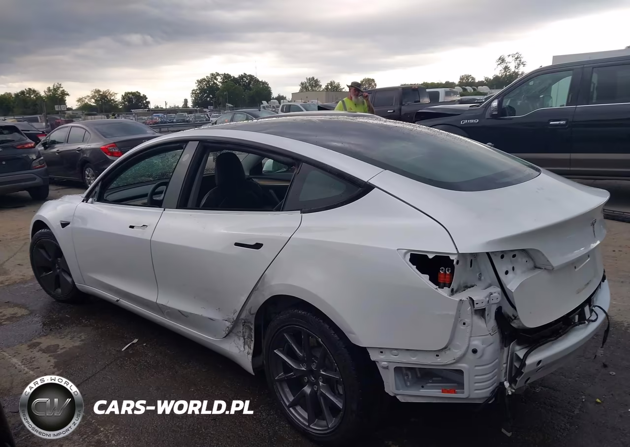 2023 Tesla Model 3 Rear-Wheel Drive VIN:5YJ3E1EA9PF382479 - 15
