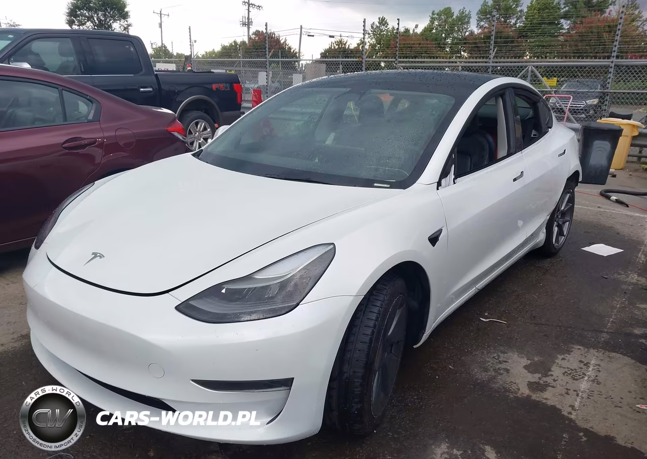 2023 Tesla Model 3 Rear-Wheel Drive VIN:5YJ3E1EA9PF382479 - 2