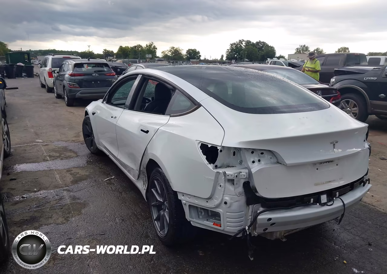 2023 Tesla Model 3 Rear-Wheel Drive VIN:5YJ3E1EA9PF382479 - 3
