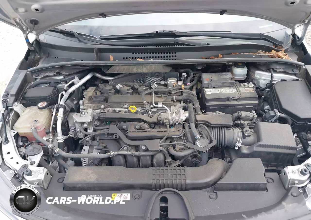 2020 Toyota Corolla Se VIN:JTDS4RCE8LJ027101 - 10