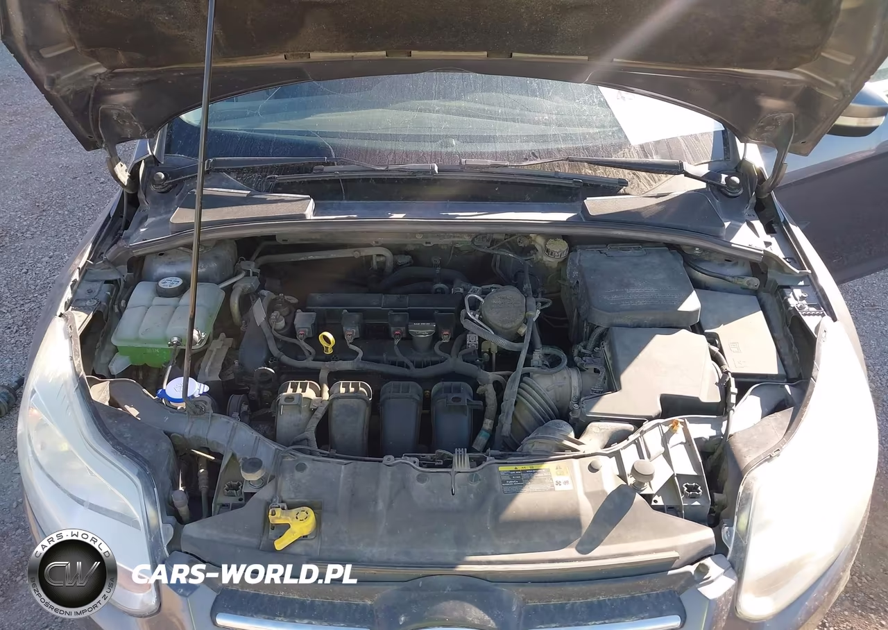 2013 Ford Focus Se VIN:1FADP3K28DL223006 - 10