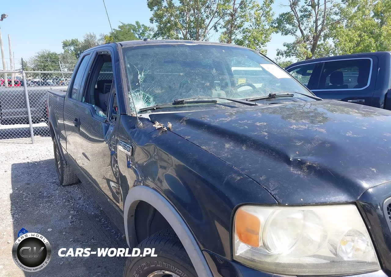 2006 Ford F-150 Fx4-Lariat-Xl-Xlt VIN:1FTPX145X6FA42042 - 6