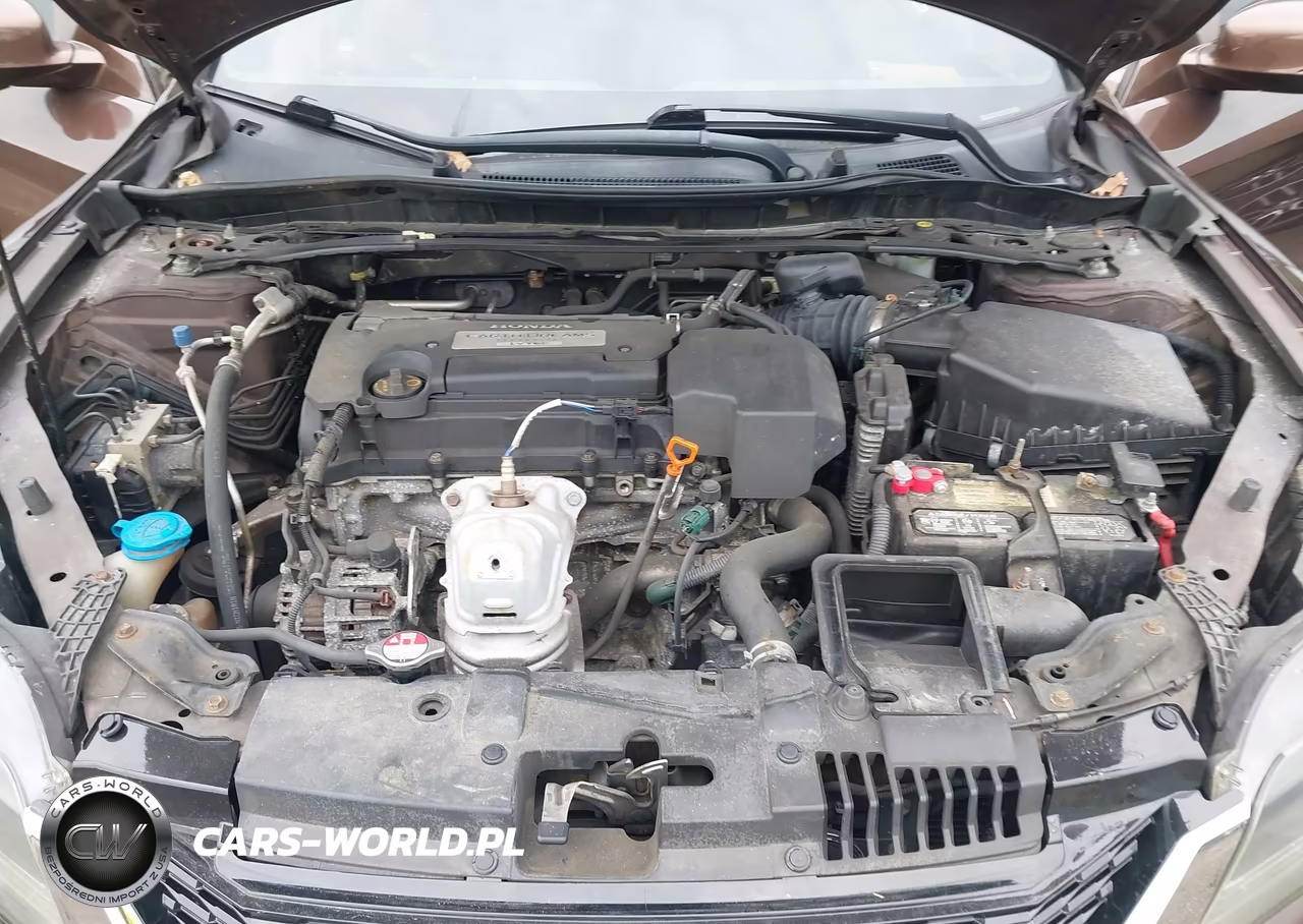 2013 Honda Accord Ex-L VIN:1HGCT1B82DA007417 - 10