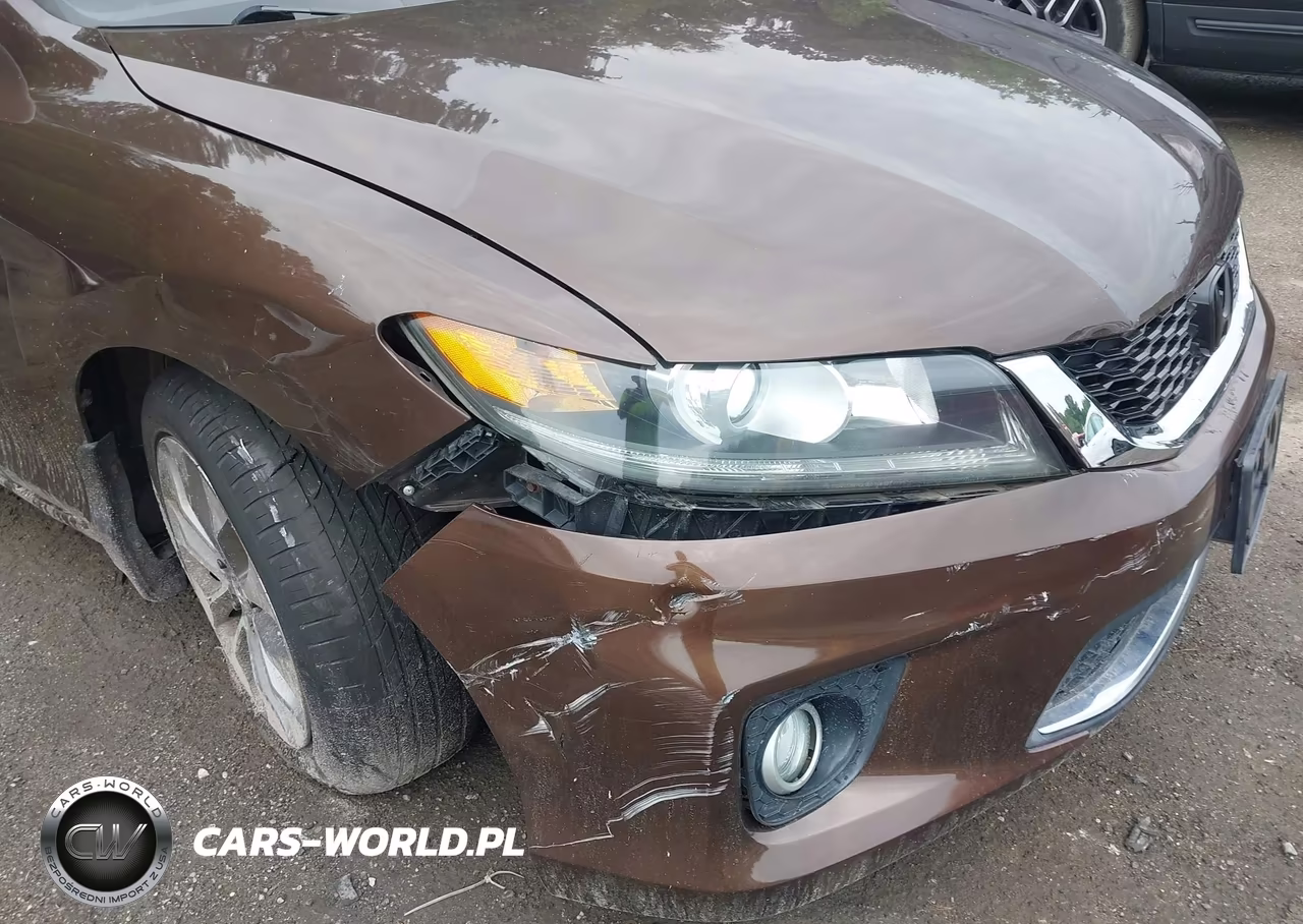 2013 Honda Accord Ex-L VIN:1HGCT1B82DA007417 - 17