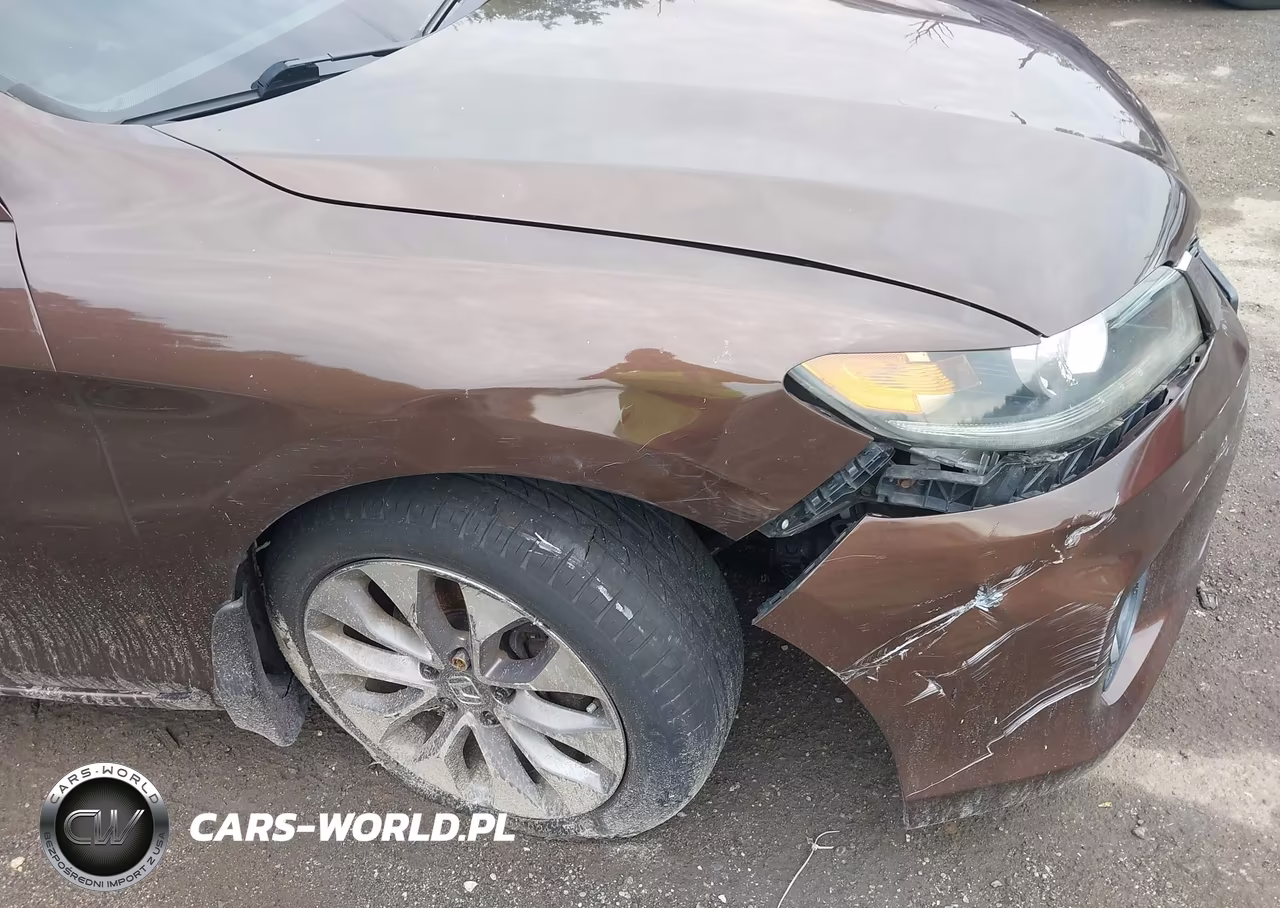 2013 Honda Accord Ex-L VIN:1HGCT1B82DA007417 - 18