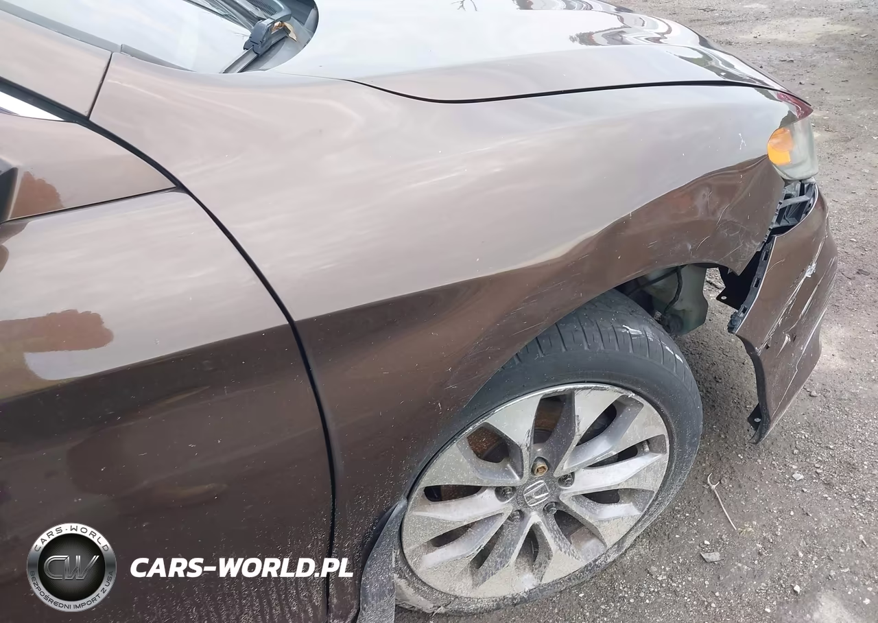 2013 Honda Accord Ex-L VIN:1HGCT1B82DA007417 - 19
