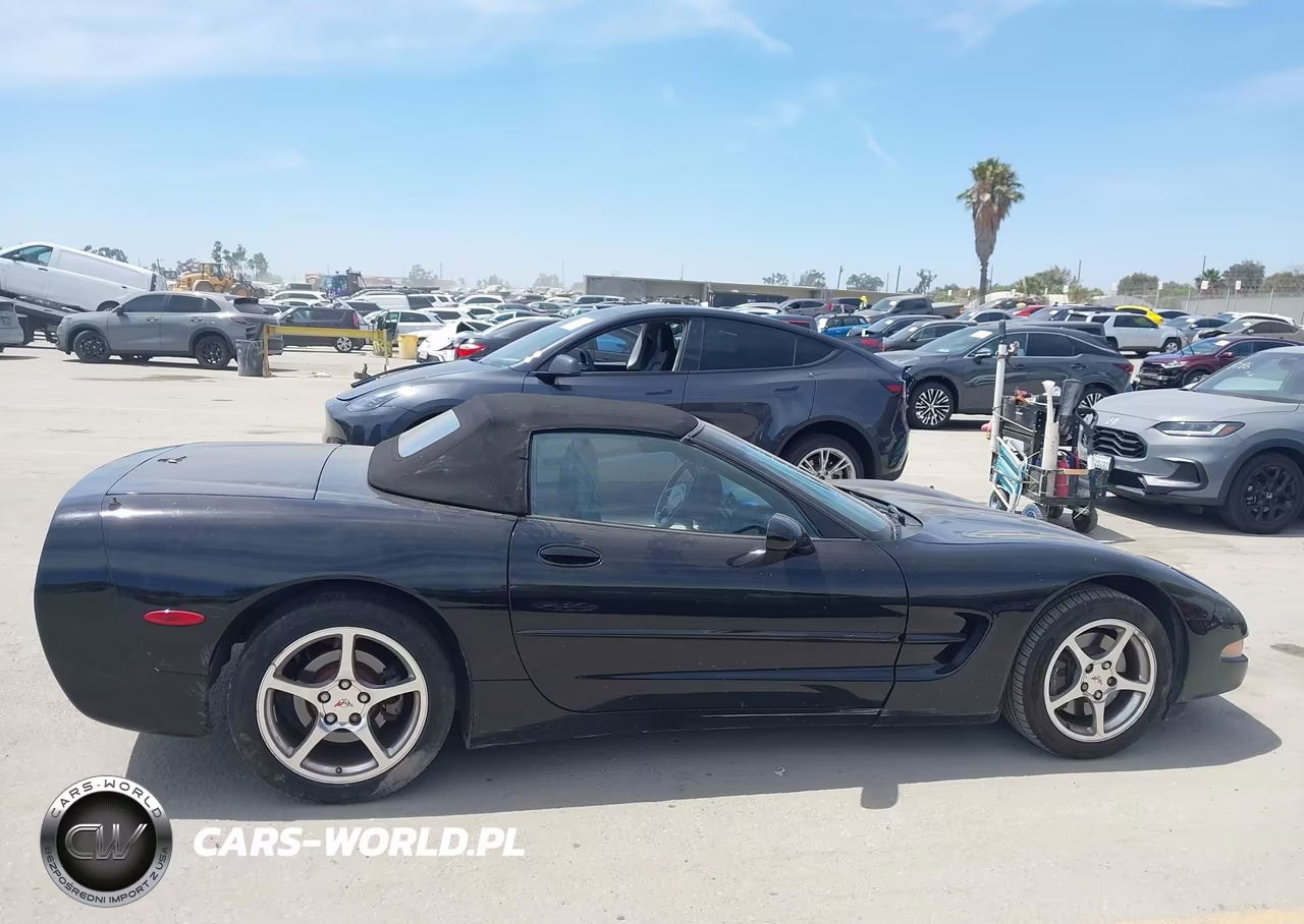 2000 Chevrolet Corvette VIN:1G1YY32G3Y5116856 - 16