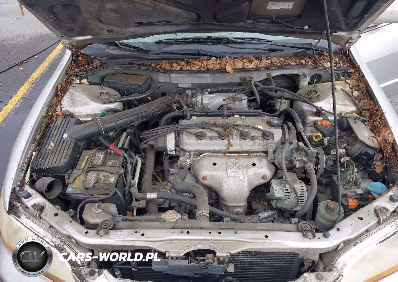 1998 Honda Accord Ex VIN:1HGCG5558WA138772 - 10