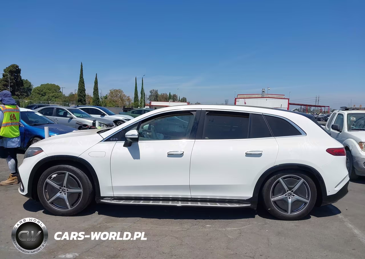 2023 Mercedes-Benz Eqs 450+ Suv VIN:4JGDM2DB9PA012080 - 13