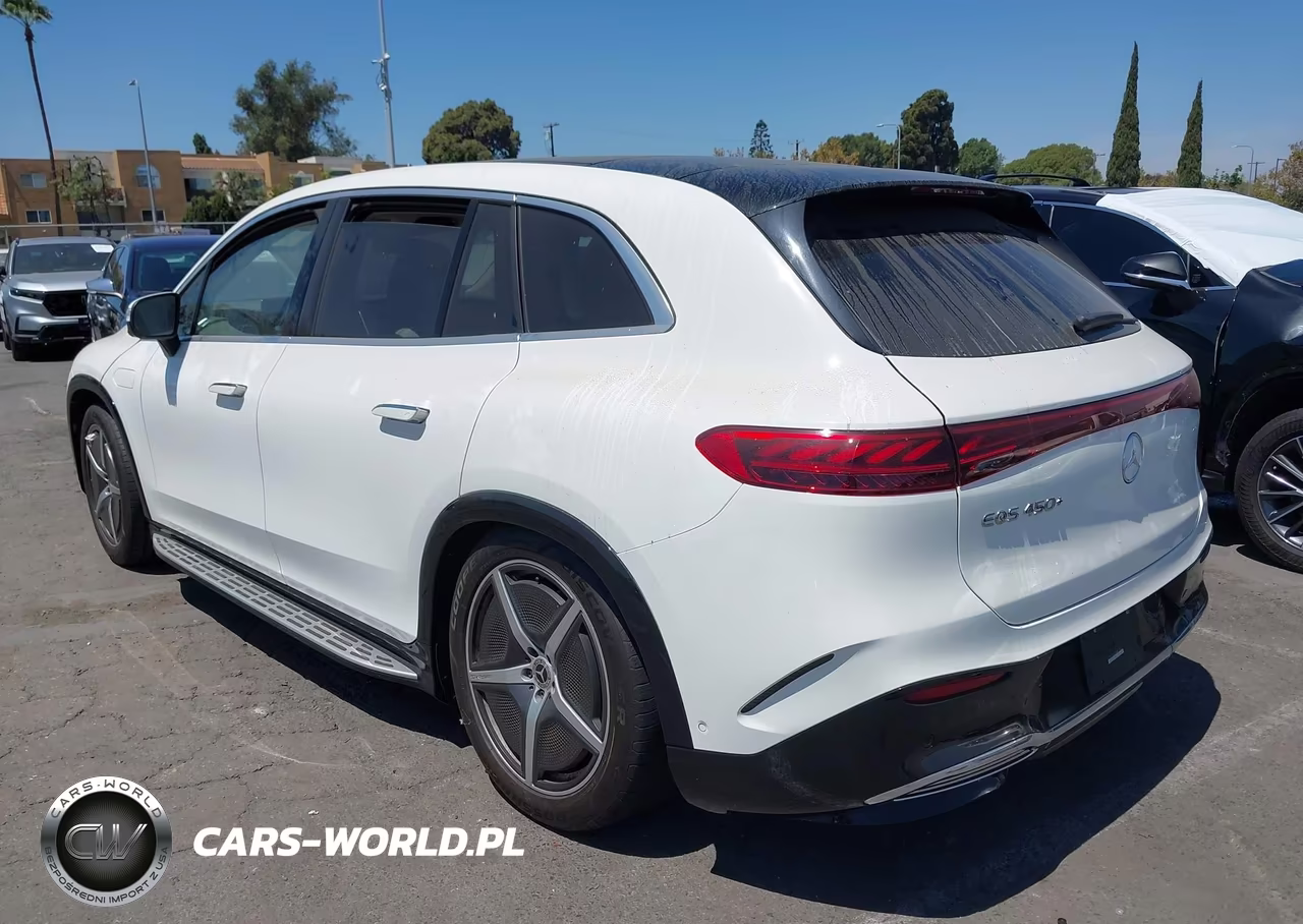 2023 Mercedes-Benz Eqs 450+ Suv VIN:4JGDM2DB9PA012080 - 3