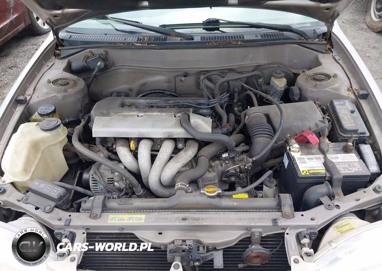 1998 Toyota Corolla Ve VIN:2T1BR12E7WC063298 - 10