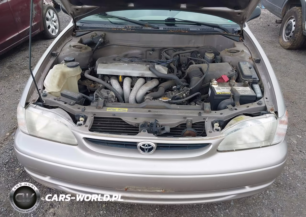 1998 Toyota Corolla Ve VIN:2T1BR12E7WC063298 - 6