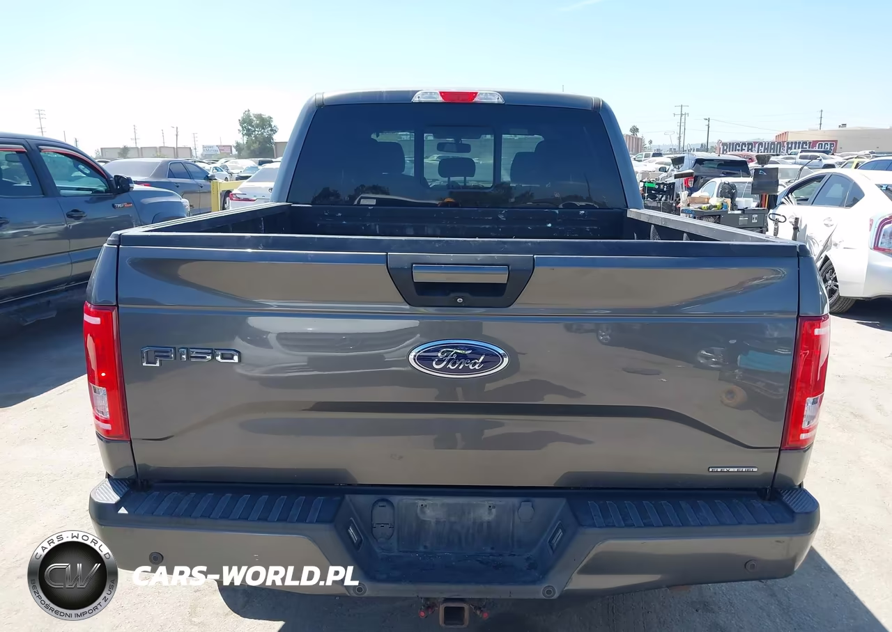 2015 Ford F-150 Xlt VIN:1FTEW1CF2FKD10688 - 16