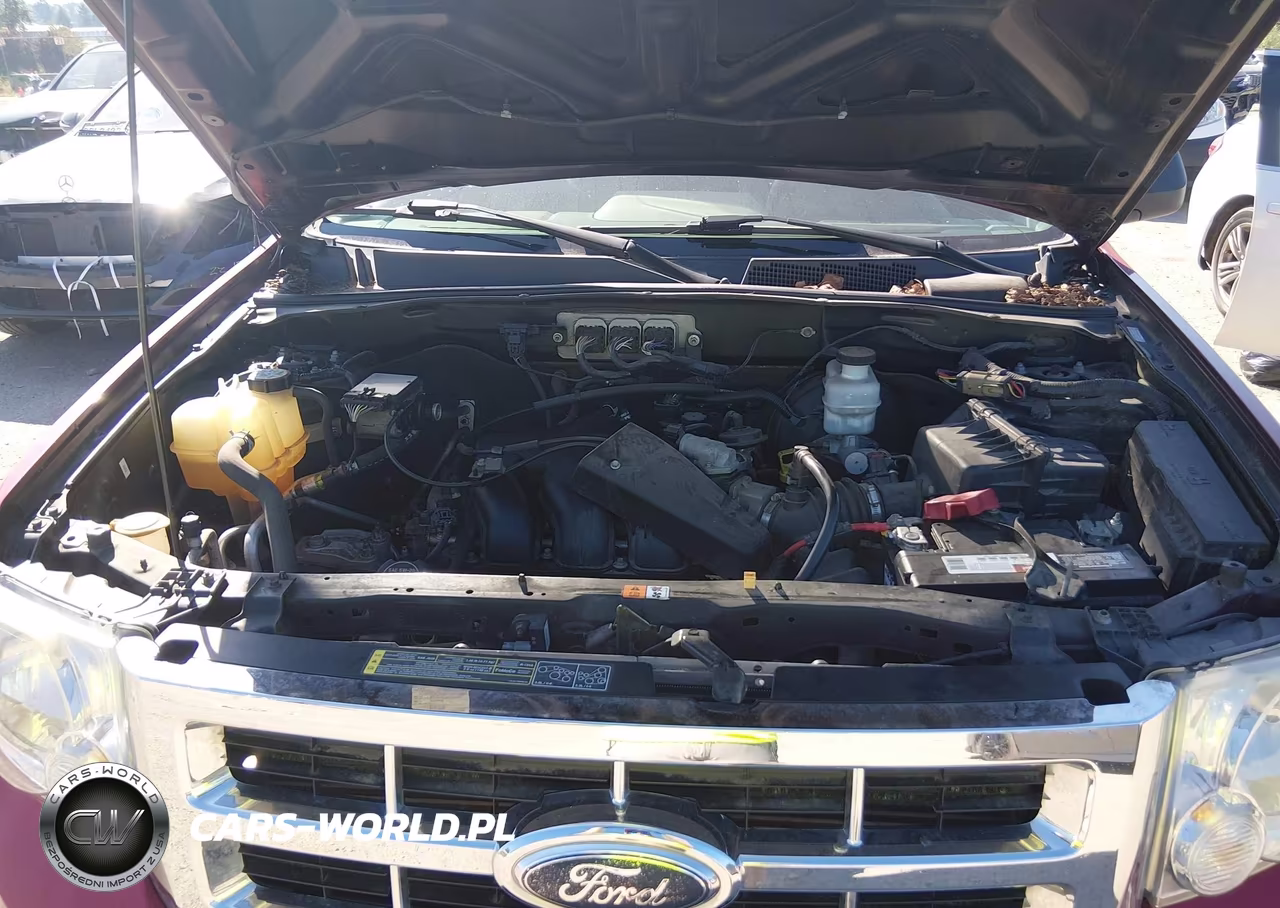 2008 Ford Escape Xlt VIN:1FMCU931X8KC81312 - 10