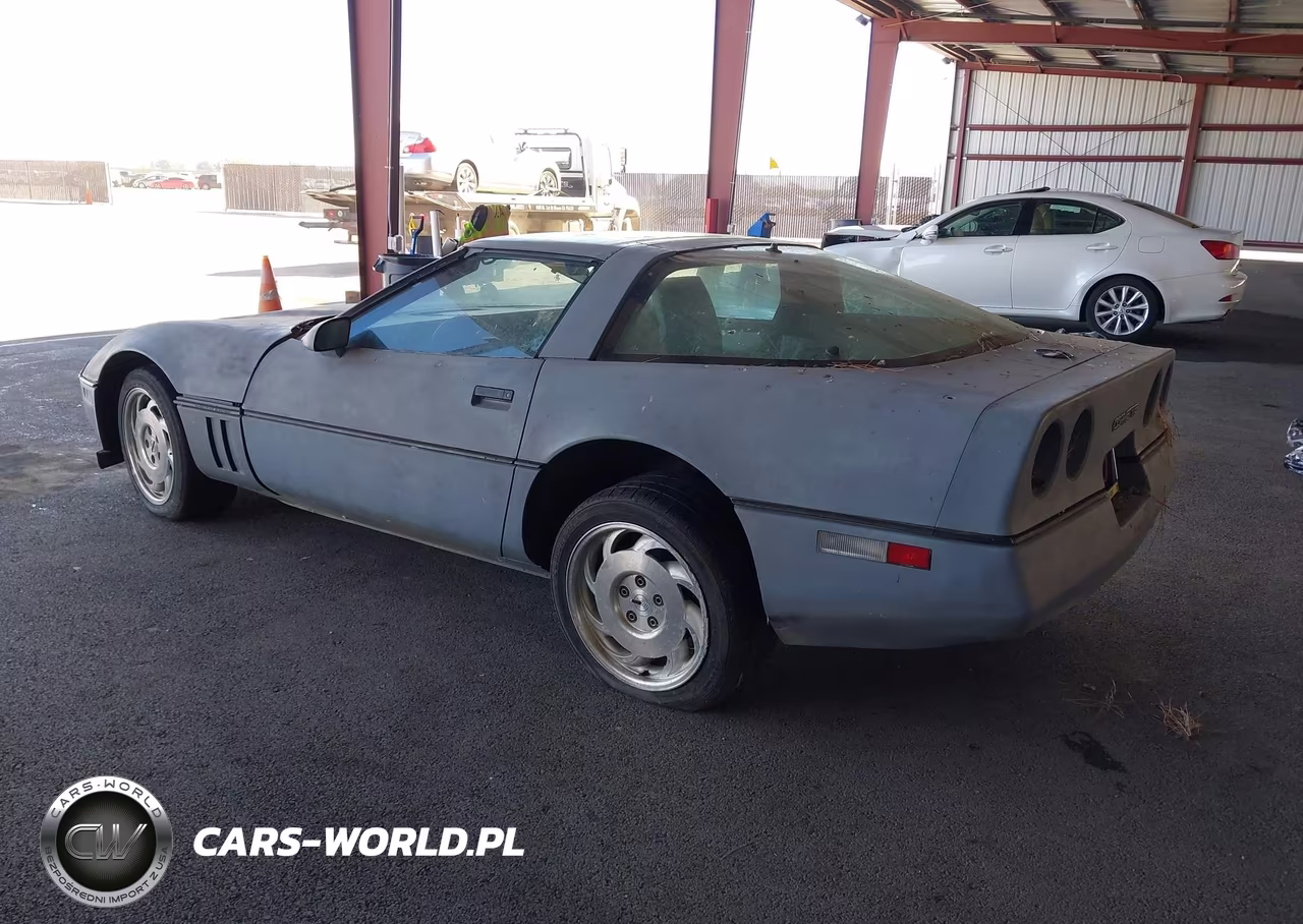 1985 Chevrolet Corvette VIN:1G1YY0789F5132296 - 3