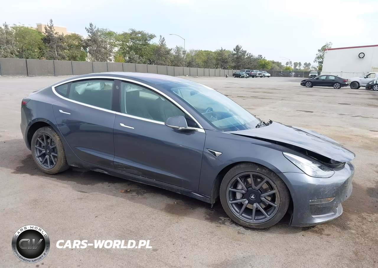 2019 Tesla Model 3 Long Range-Mid Range-Standard Range-Standard Range Plus VIN:5YJ3E1EA8KF324730 - 1