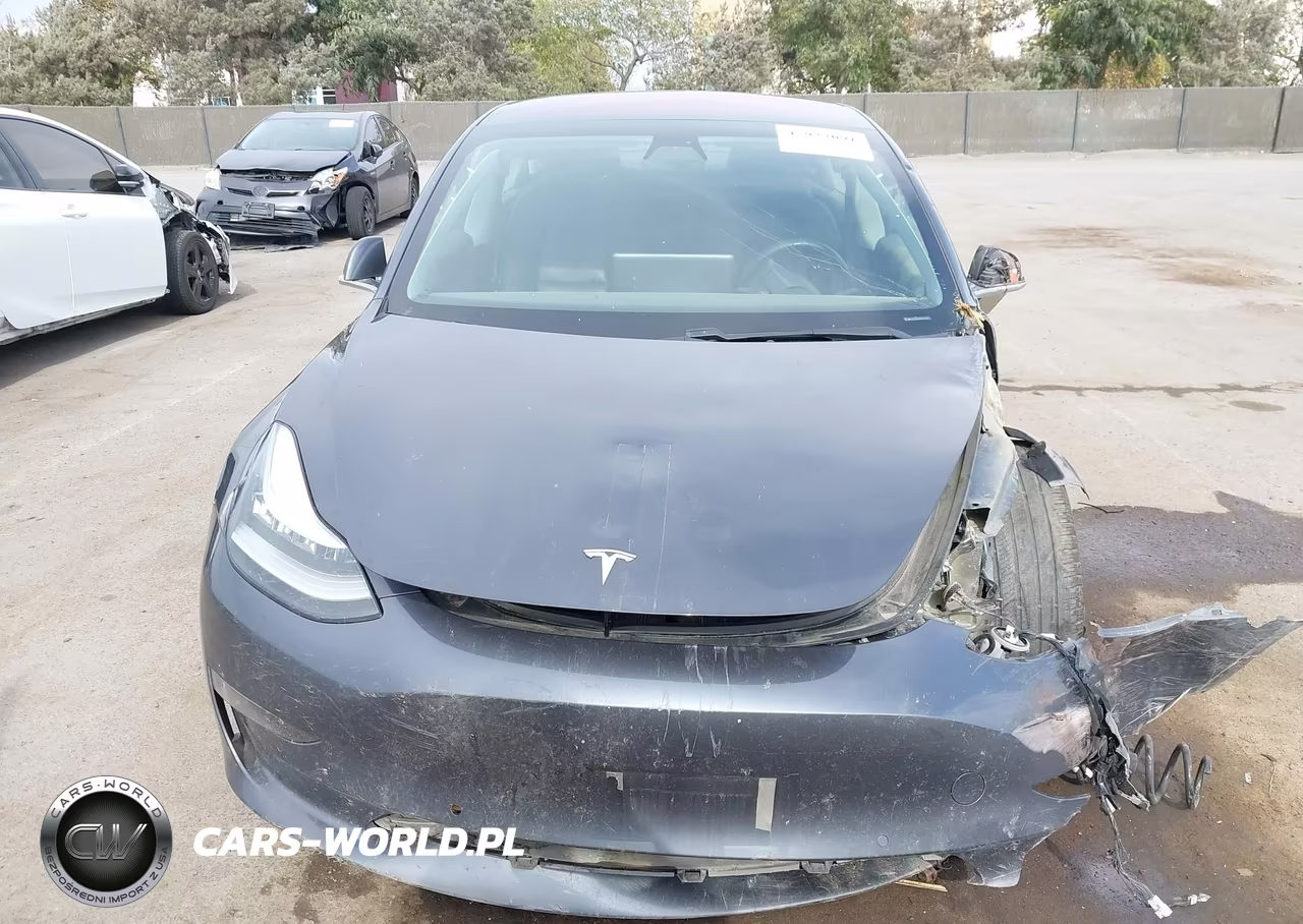 2019 Tesla Model 3 Long Range-Mid Range-Standard Range-Standard Range Plus VIN:5YJ3E1EA8KF324730 - 11