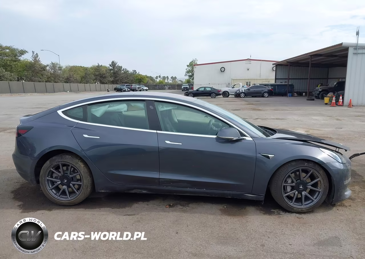 2019 Tesla Model 3 Long Range-Mid Range-Standard Range-Standard Range Plus VIN:5YJ3E1EA8KF324730 - 12