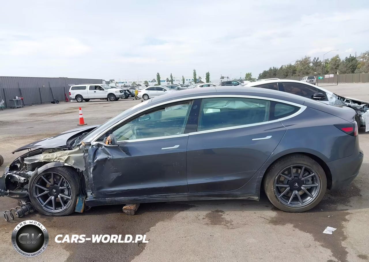 2019 Tesla Model 3 Long Range-Mid Range-Standard Range-Standard Range Plus VIN:5YJ3E1EA8KF324730 - 13