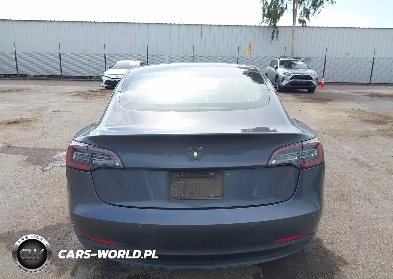 2019 Tesla Model 3 Long Range-Mid Range-Standard Range-Standard Range Plus VIN:5YJ3E1EA8KF324730 - 15