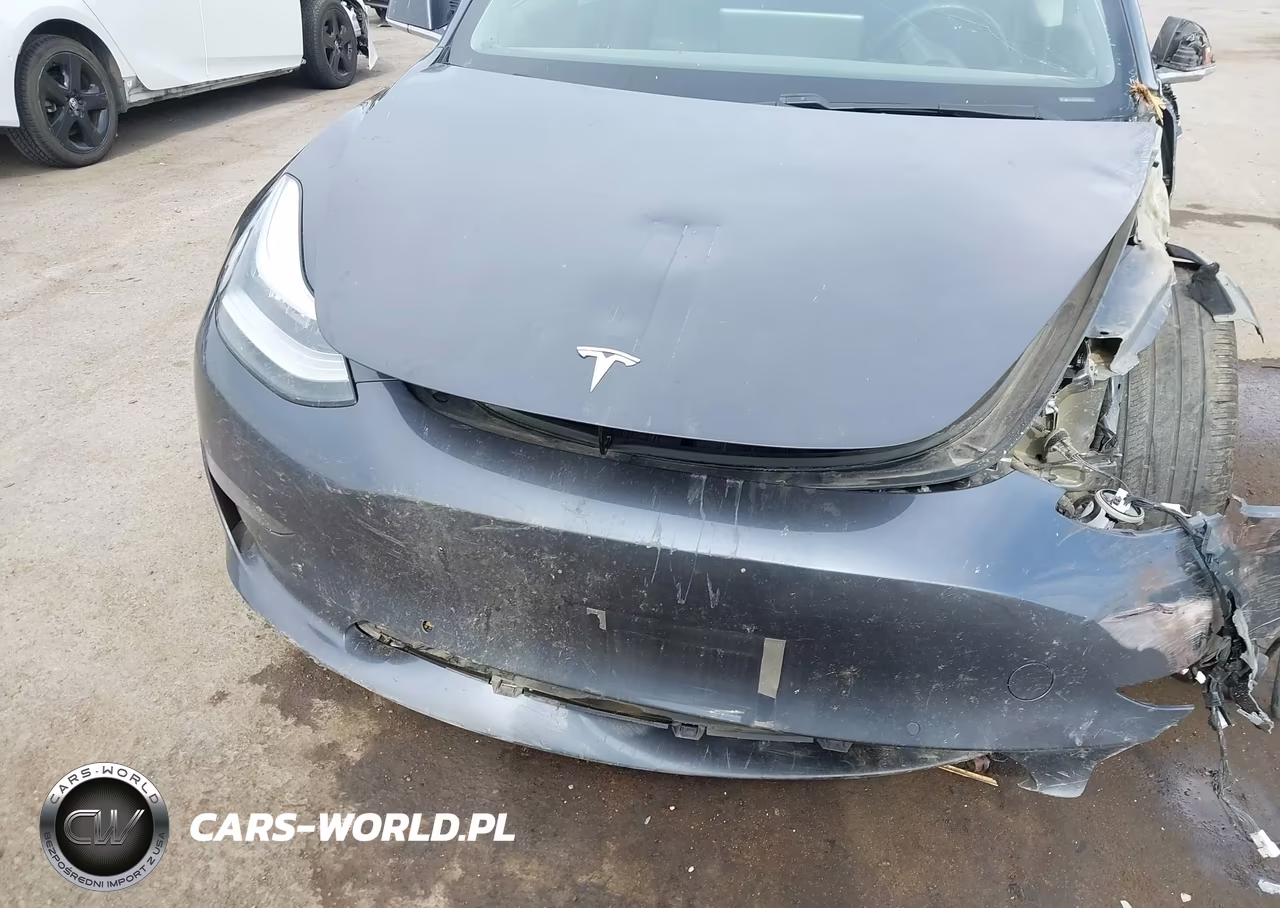 2019 Tesla Model 3 Long Range-Mid Range-Standard Range-Standard Range Plus VIN:5YJ3E1EA8KF324730 - 6
