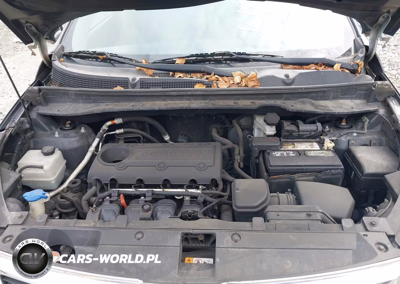 2013 Kia Sportage Lx VIN:KNDPBCA22D7538187 - 10