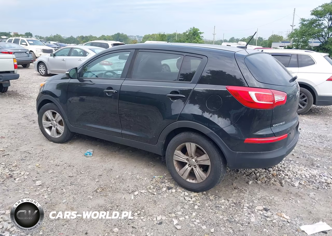2013 Kia Sportage Lx VIN:KNDPBCA22D7538187 - 3