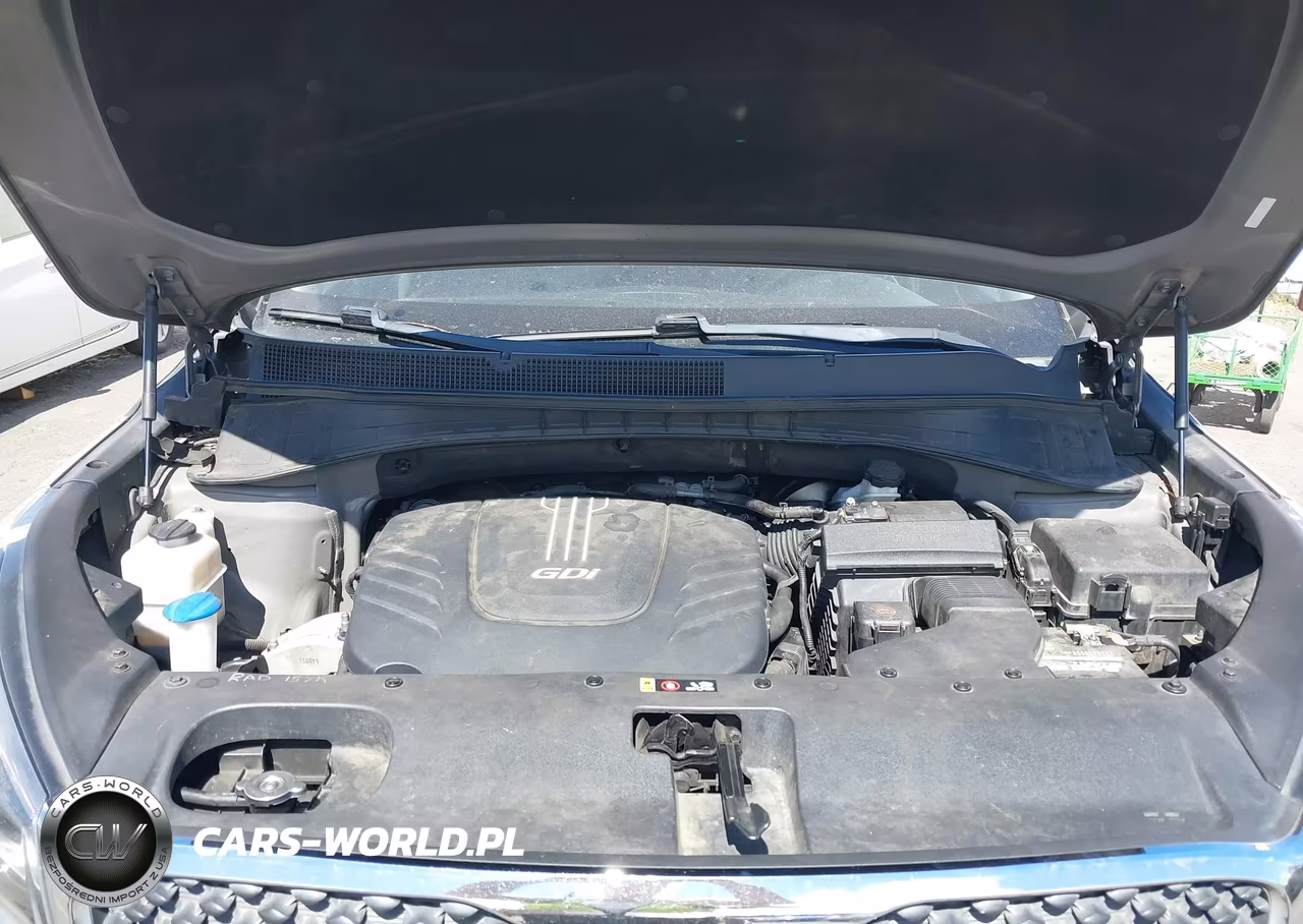 2016 Kia Sorento 3.3L Lx VIN:5XYPGDA51GG138906 - 10