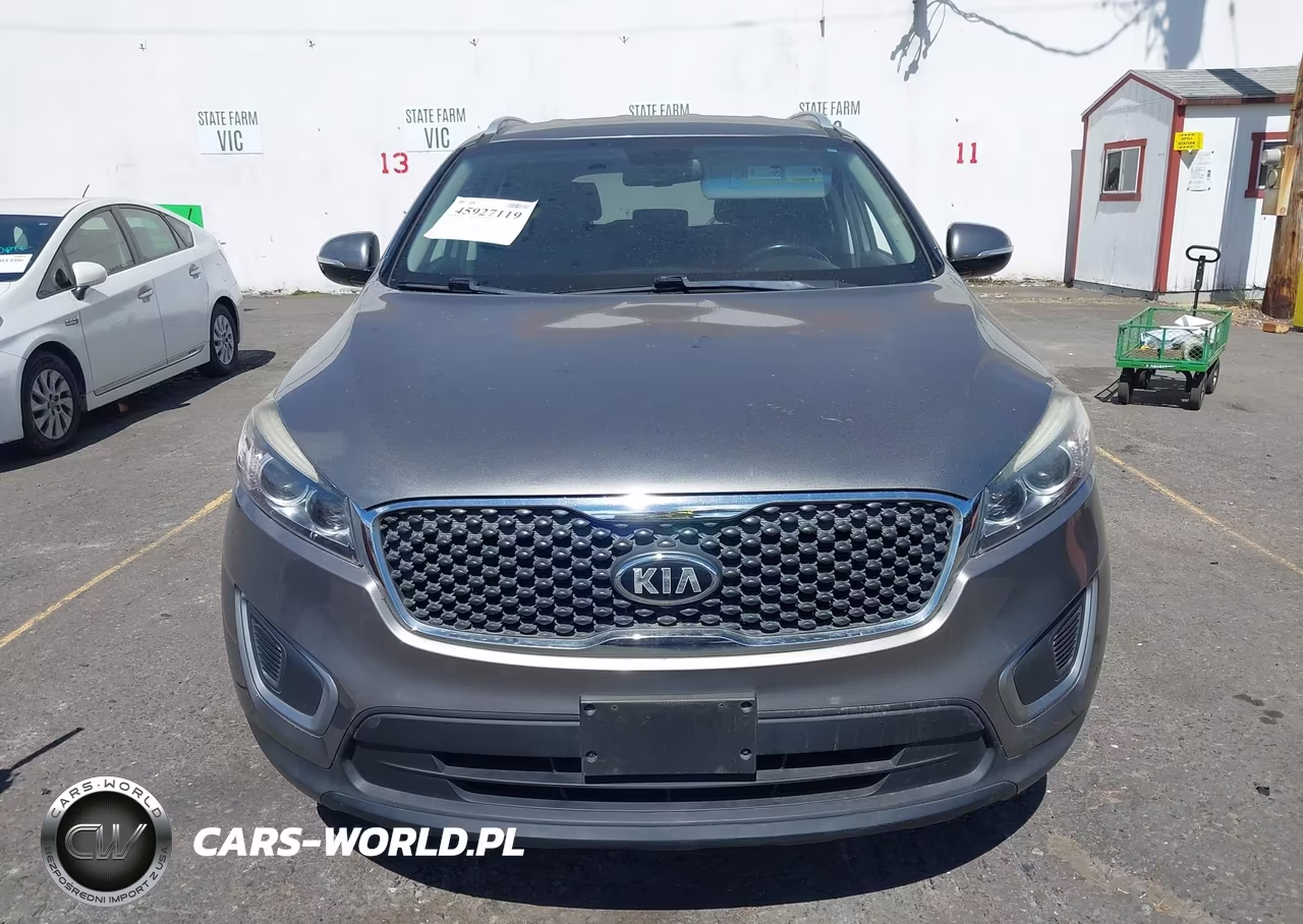 2016 Kia Sorento 3.3L Lx VIN:5XYPGDA51GG138906 - 12