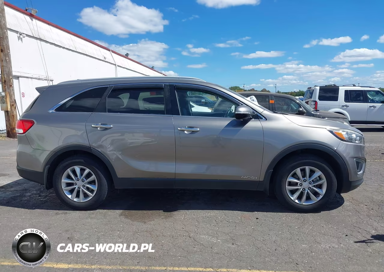 2016 Kia Sorento 3.3L Lx VIN:5XYPGDA51GG138906 - 13