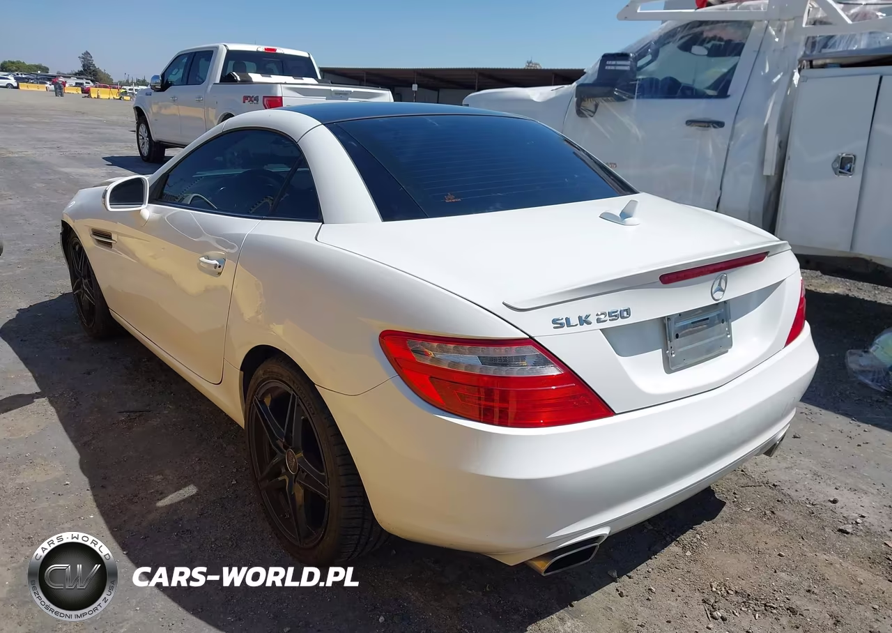 2015 Mercedes-Benz Slk 250 VIN:WDDPK4HA2FF104188 - 3