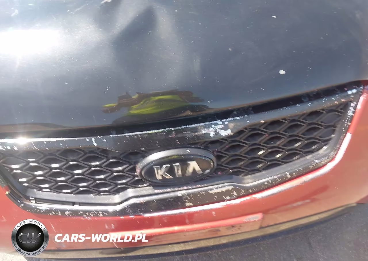 2009 Kia Rio Lx VIN:KNADE223396508489 - 10