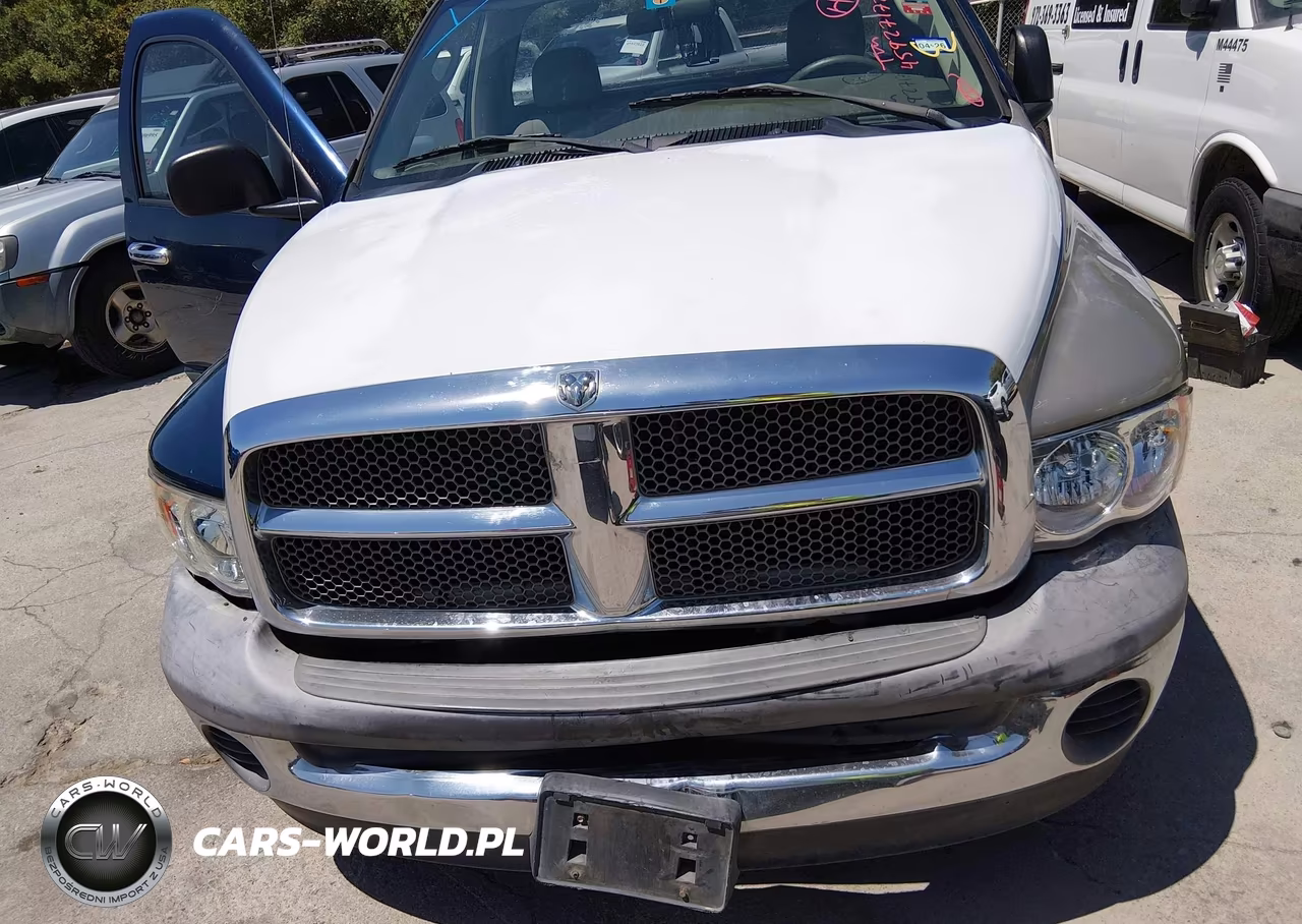 2004 Dodge Ram 1500 St-Slt VIN:1D7HA16N14J207690 - 12