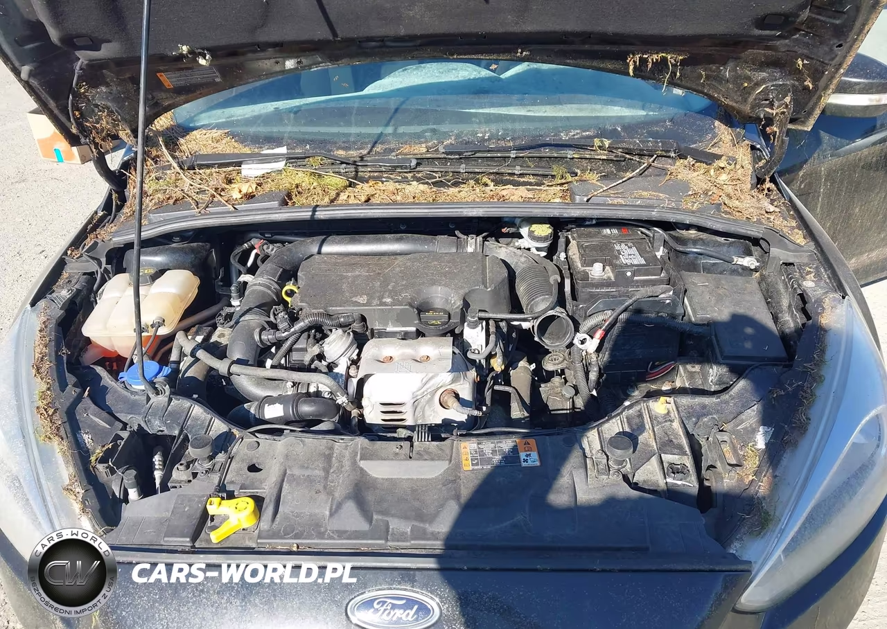 2016 Ford Focus Se VIN:1FADP3KE1GL315718 - 10