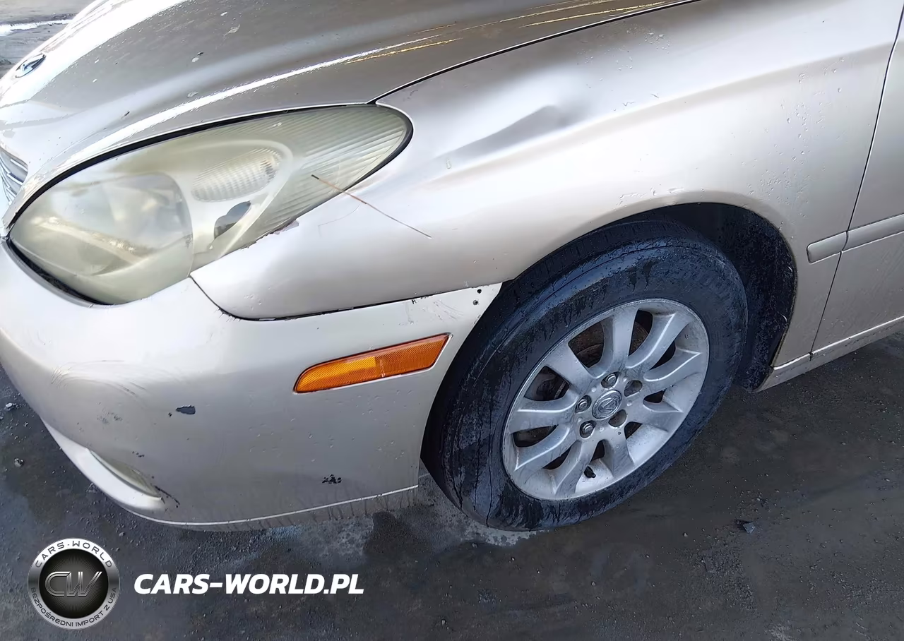2003 Lexus Es 300 VIN:JTHBF30G336008471 - 11
