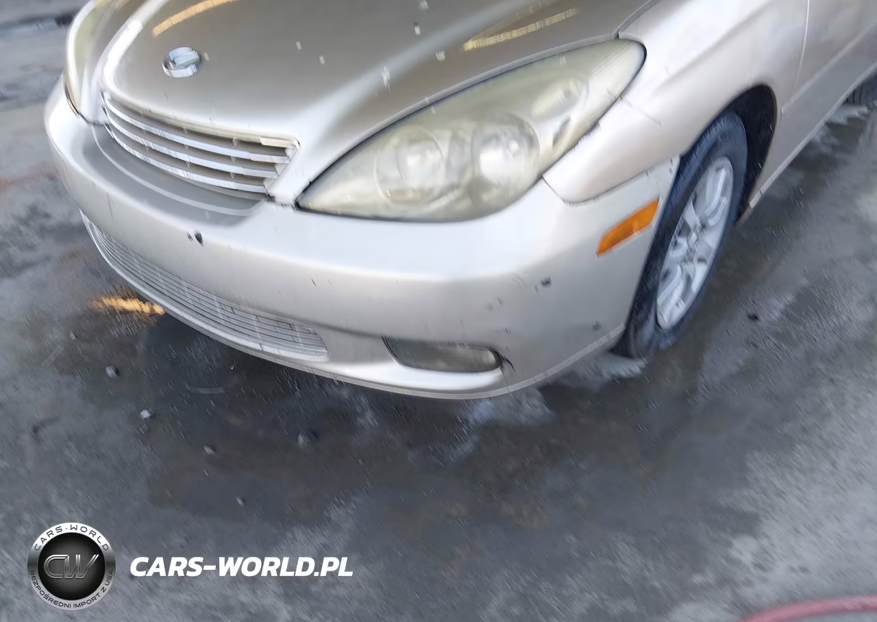 2003 Lexus Es 300 VIN:JTHBF30G336008471 - 12