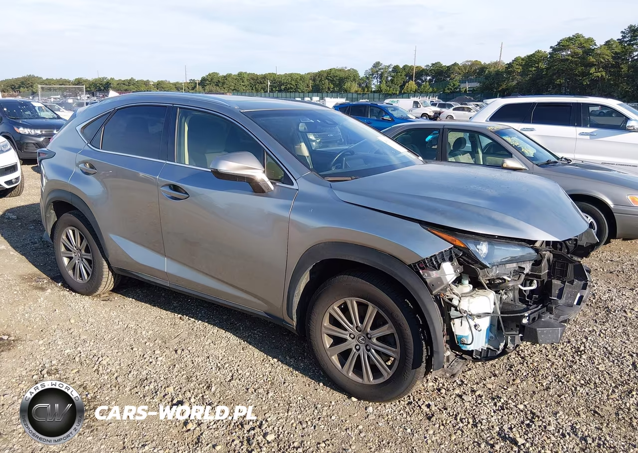 2019 Lexus Nx 300