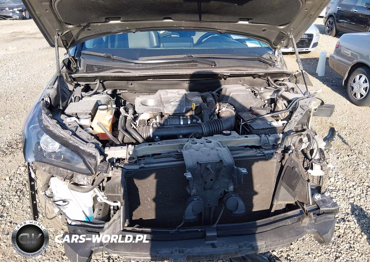 2019 Lexus Nx 300 VIN:JTJBARBZ8K2209934 - 10
