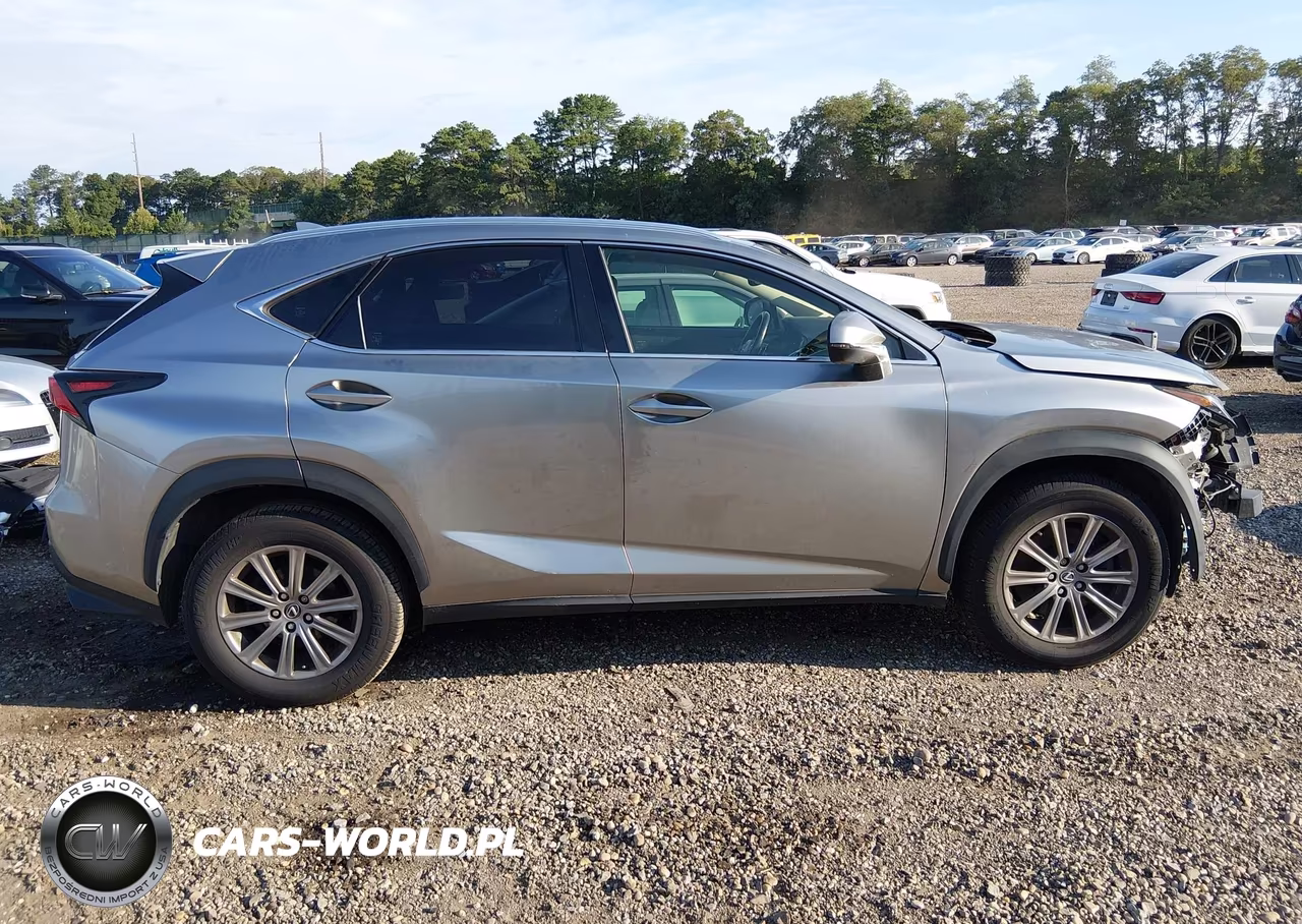 2019 Lexus Nx 300 VIN:JTJBARBZ8K2209934 - 14