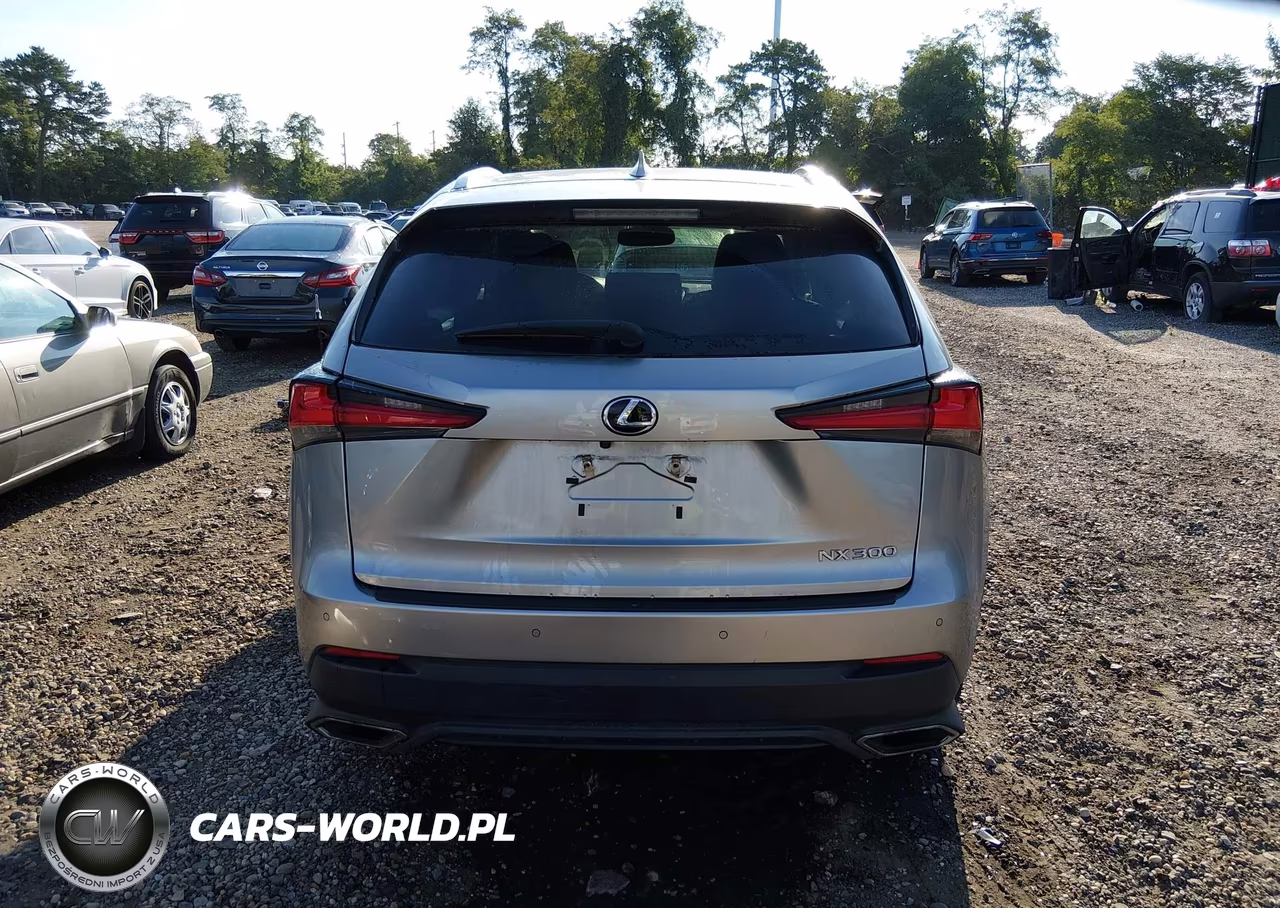 2019 Lexus Nx 300 VIN:JTJBARBZ8K2209934 - 17