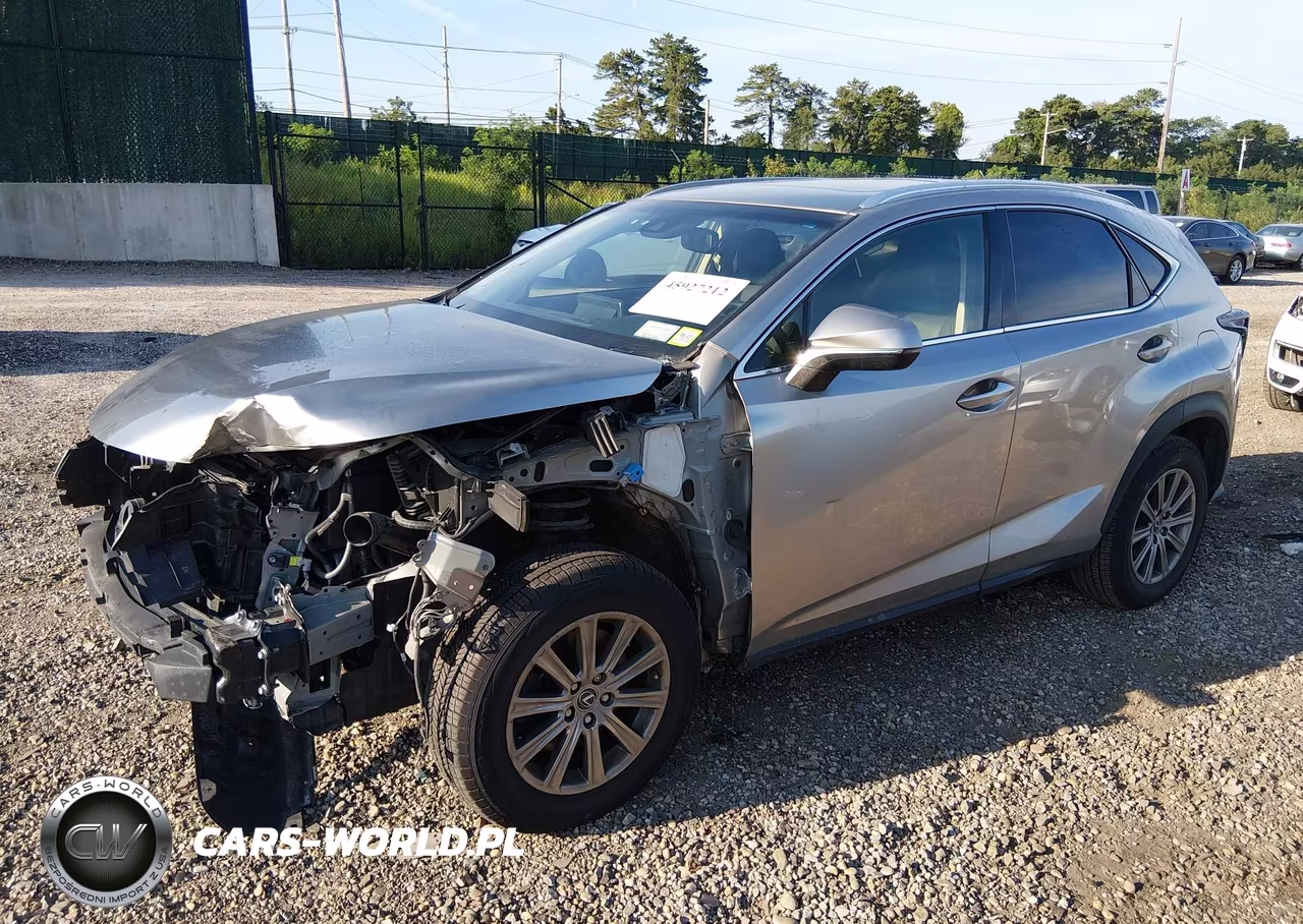2019 Lexus Nx 300 VIN:JTJBARBZ8K2209934 - 2