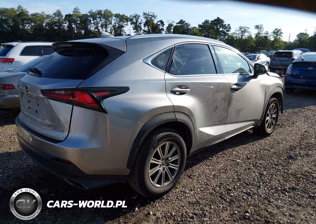 2019 Lexus Nx 300 VIN:JTJBARBZ8K2209934 - 4
